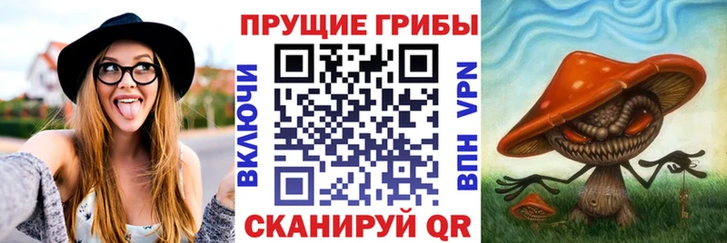 Галлюциногенные грибы MAGIC MUSHROOMS  цена наркотик  Тогучин 